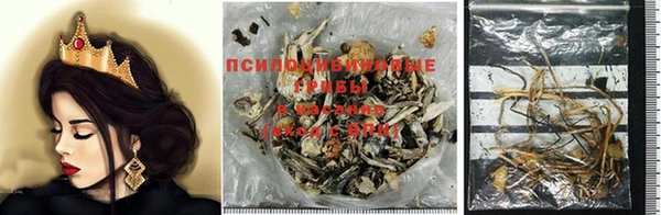 кокс Алексеевка