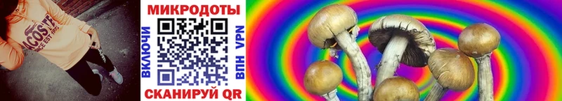 Псилоцибиновые грибы Cubensis  Королёв 